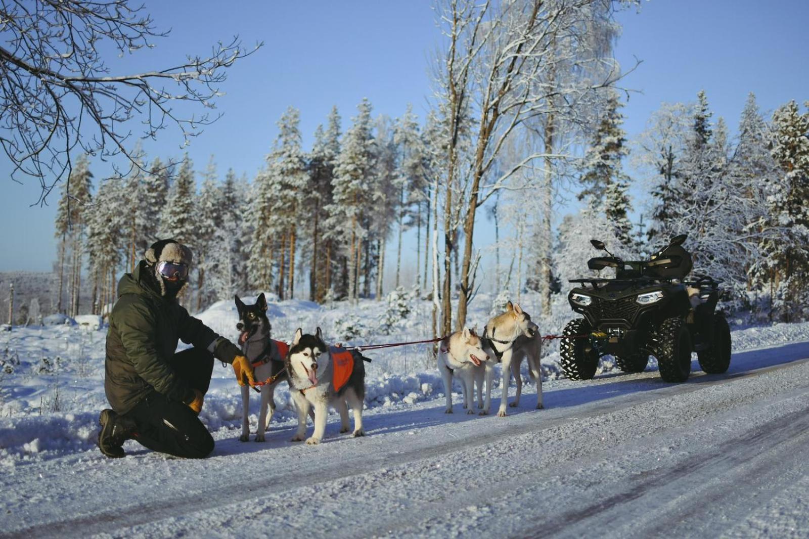 Arctic Ranch Villa Overkalix Bagian luar foto